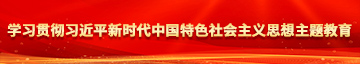 男生艹女生的逼学习贯彻习近平新时代中国特色社会主义思想主题教育